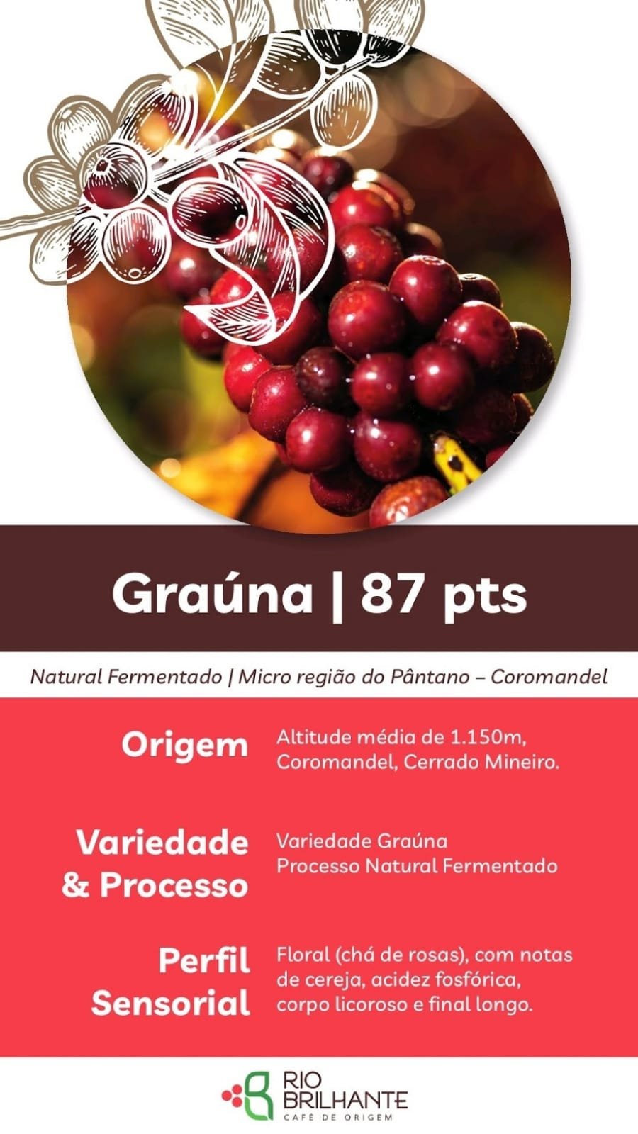 Café da Vaca – Edição 24 K - 200g - Image 3